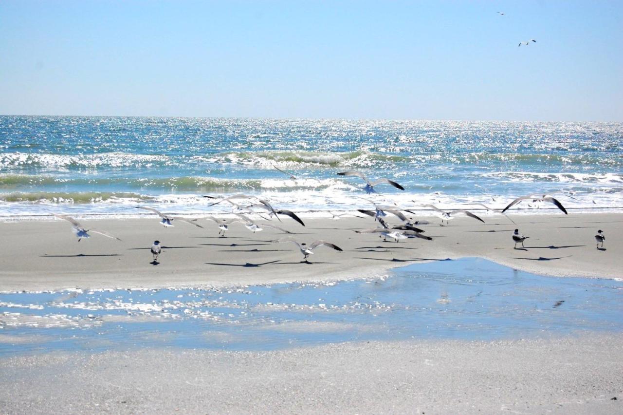 Mariners Cove 227 C Apartment Myrtle Beach Luaran gambar